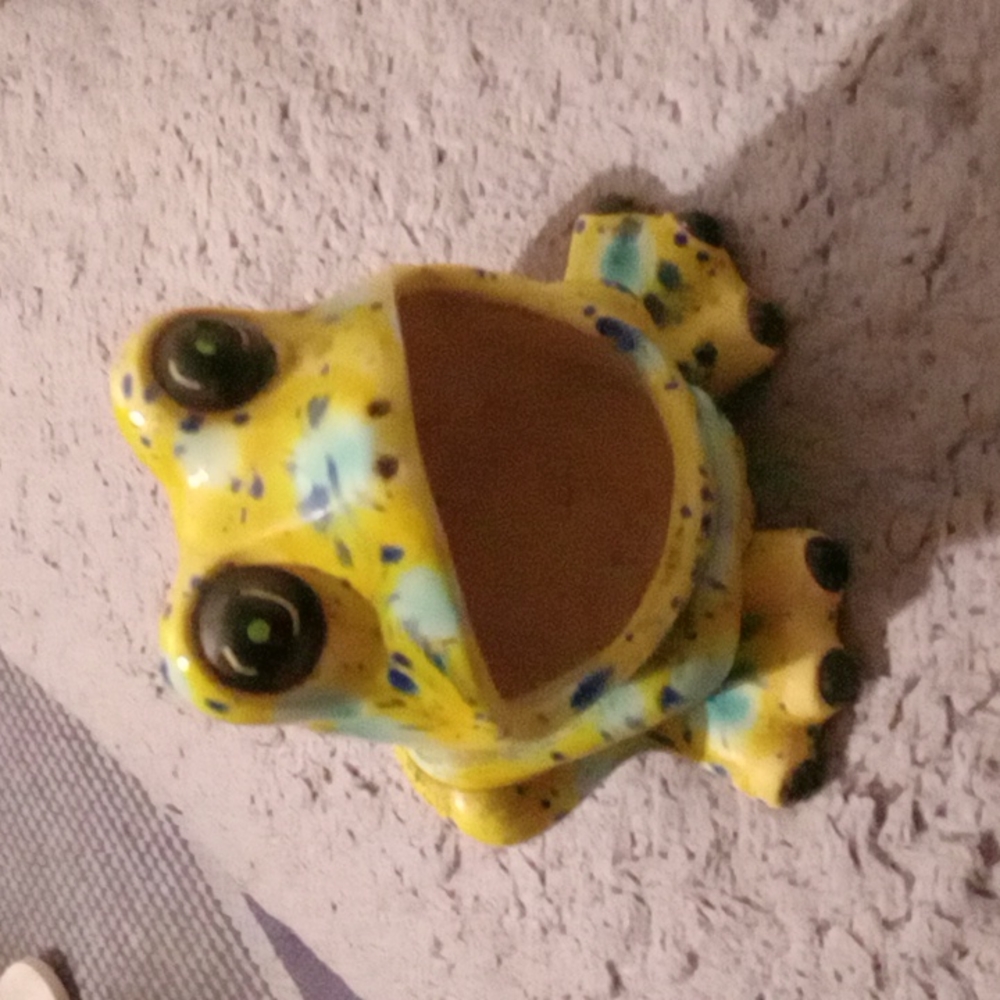 Storage frog